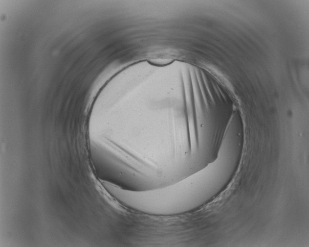 X0000068830816200605261614