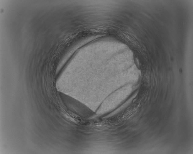 X0000068830817200605261613