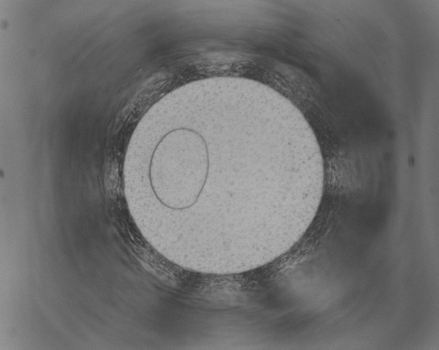 X0000068830820200605261613