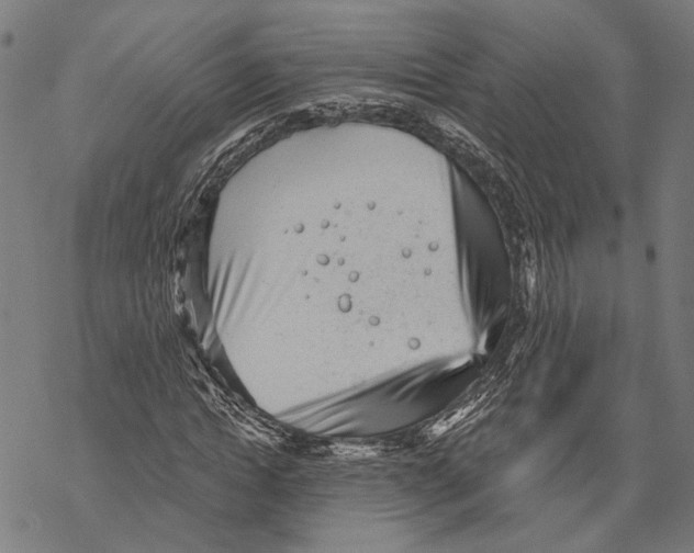 X0000068830822200605261613