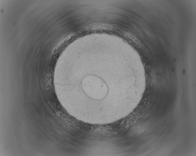 X0000068830824200605261613