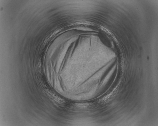 X0000068830825200605261613