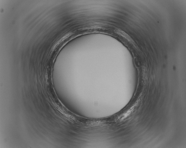 X0000068830826200605261613