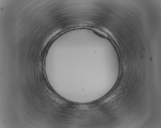 X0000068830827200605261613