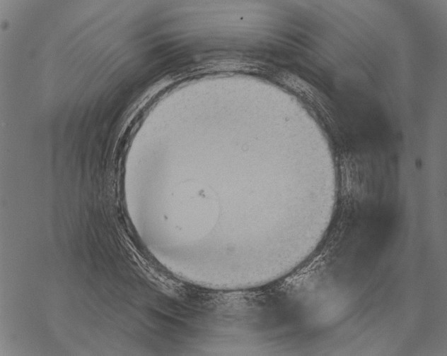 X0000068830828200605261613