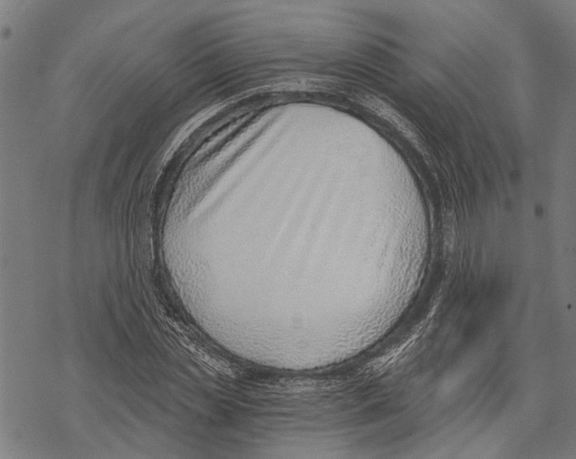 X0000068830829200605261613