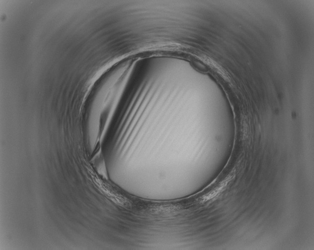 X0000068830830200605261613