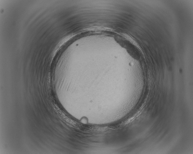 X0000068830831200605261613