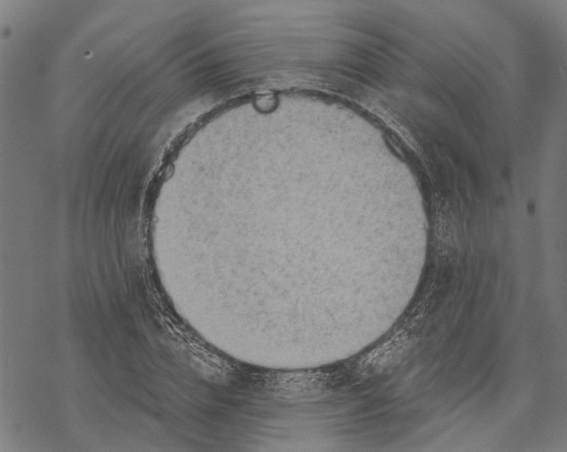 X0000068830832200605261613