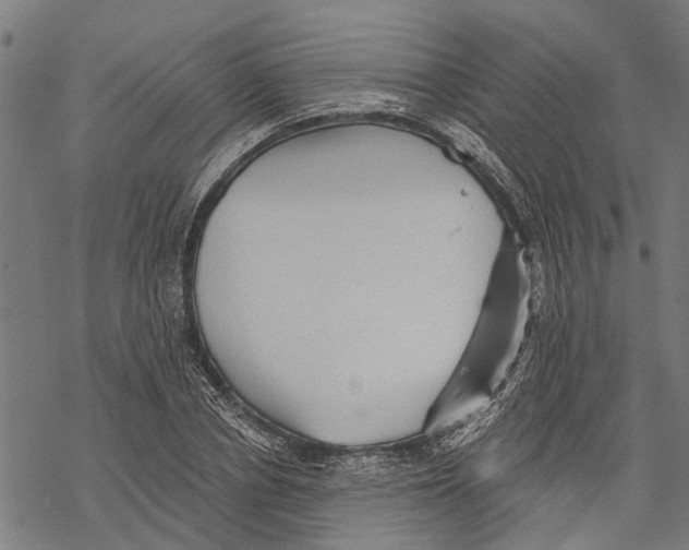 X0000068830834200605261613