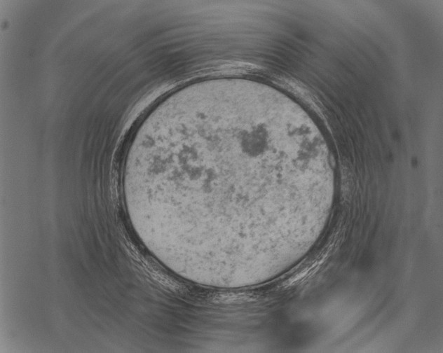 X0000068830835200605261613