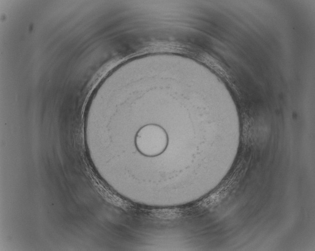 X0000068830836200605261613