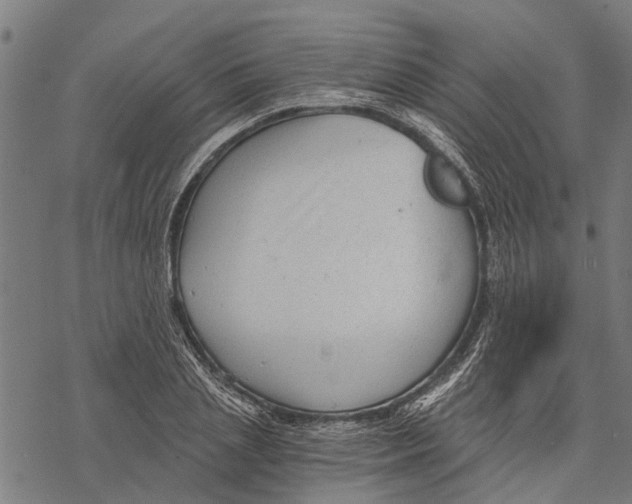 X0000068830837200605261613