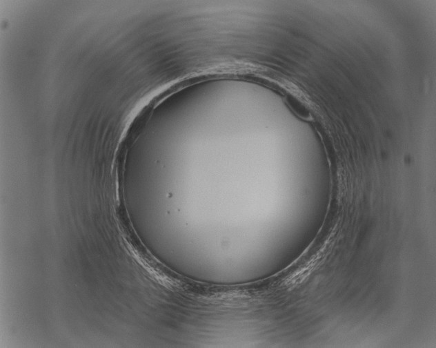 X0000068830838200605261613