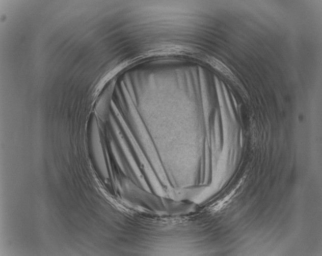 X0000068830842200605261613