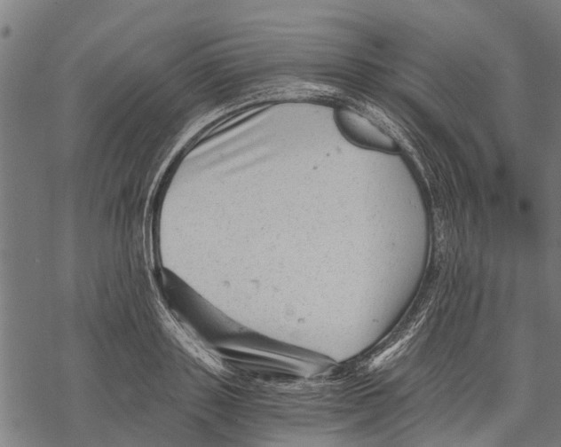 X0000068830843200605261613