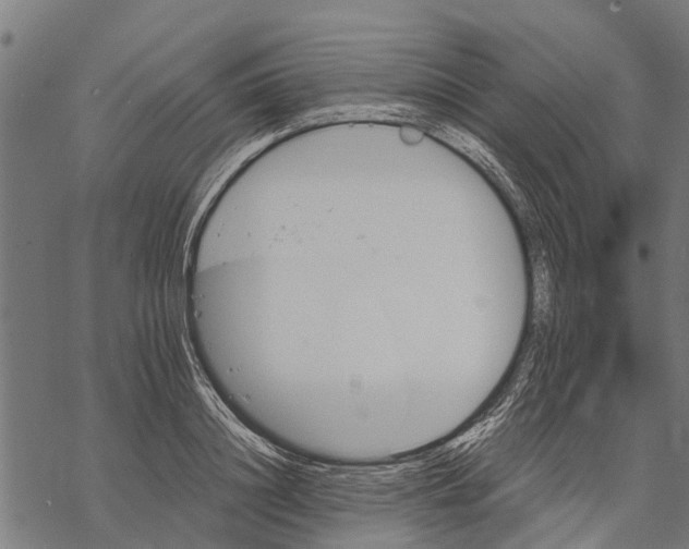 X0000068830844200605261613