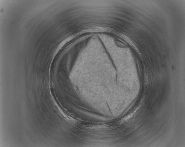 X0000068830845200605261613