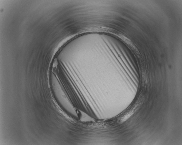 X0000068830846200605261613