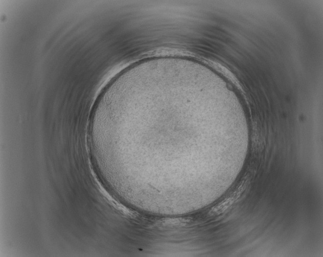 X0000068830847200605261613