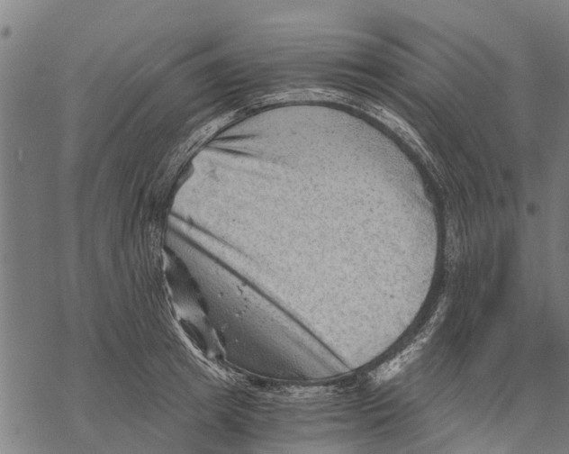 X0000068830849200605261613