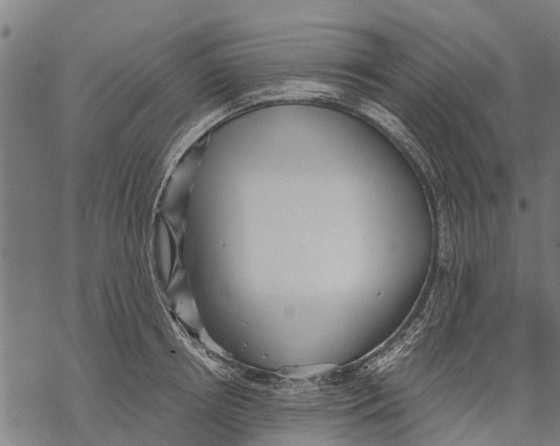 X0000068830850200605261613