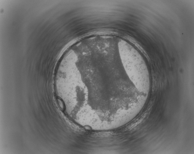 X0000068830853200605261614