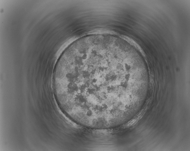 X0000068830855200605261614