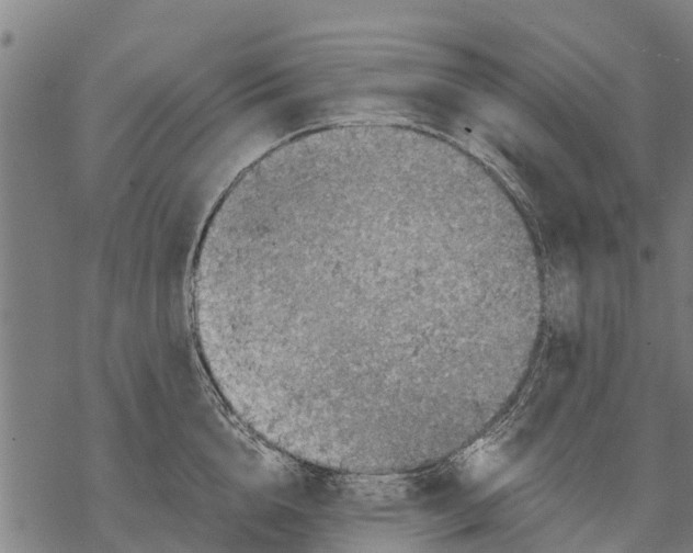 X0000068830856200605261614