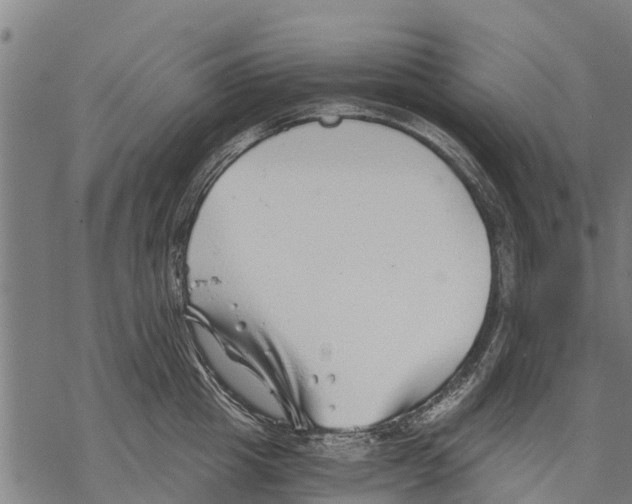 X0000068830857200605261614