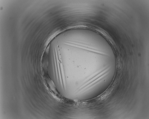 X0000068830858200605261614