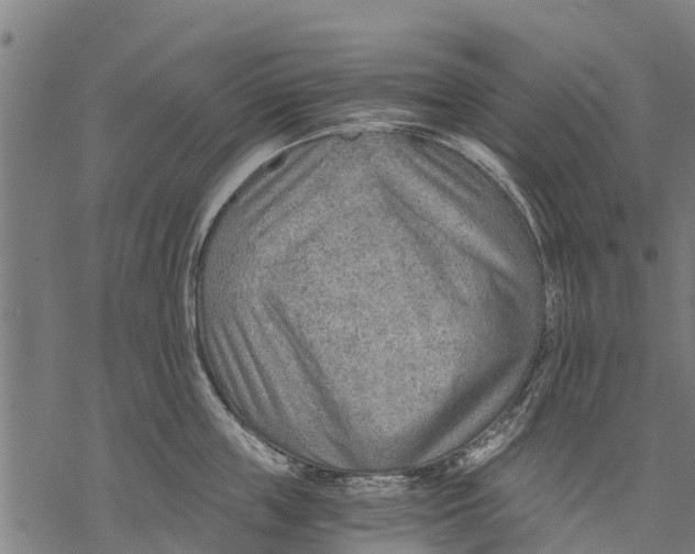 X0000068830859200605261614