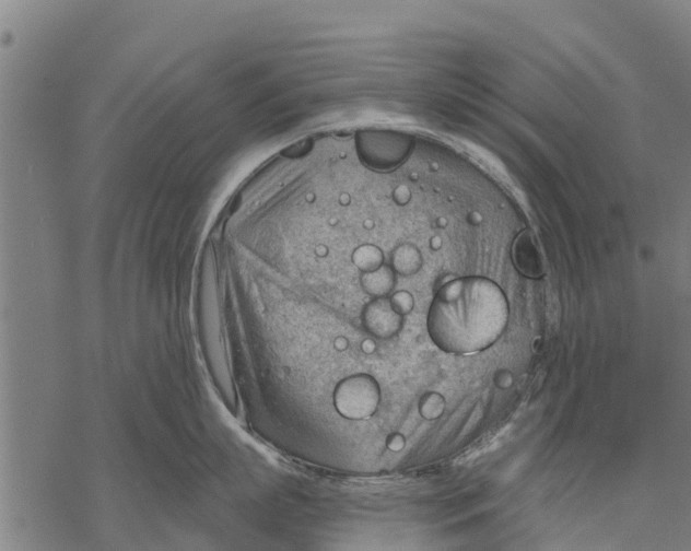 X0000068830863200605261614