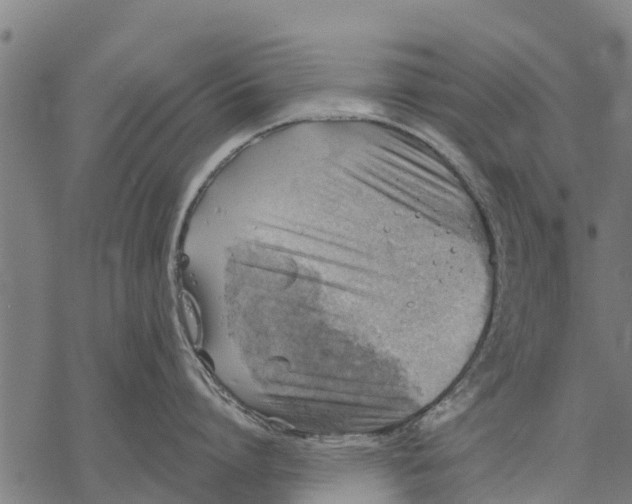 X0000068830864200605261614