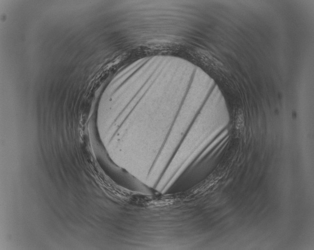 X0000068830868200605261613