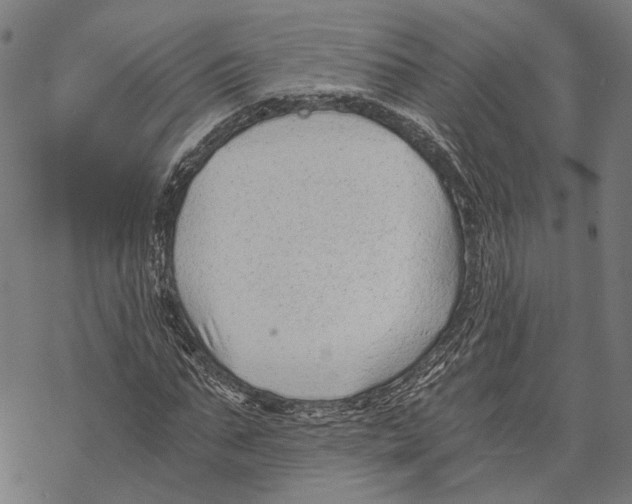 X0000068830871200605261613