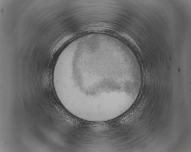 X0000068830874200605261613