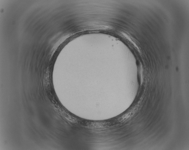 X0000068830875200605261613