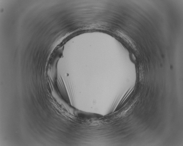 X0000068830876200605261613