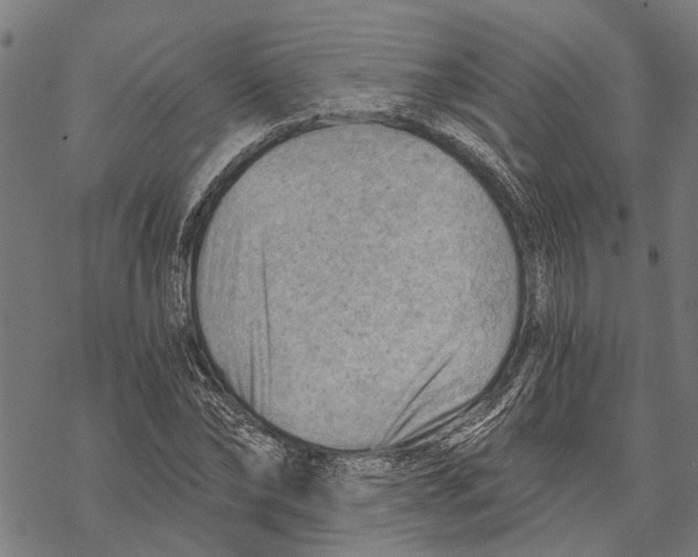 X0000068830878200605261613