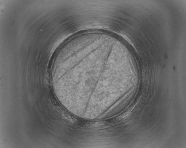 X0000068830879200605261613