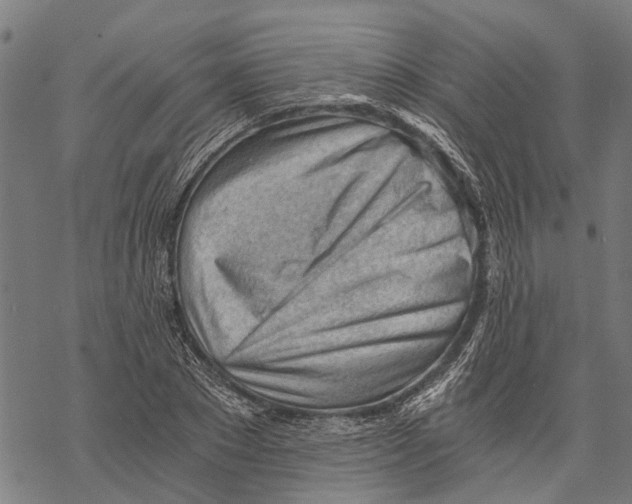 X0000068830881200605261613