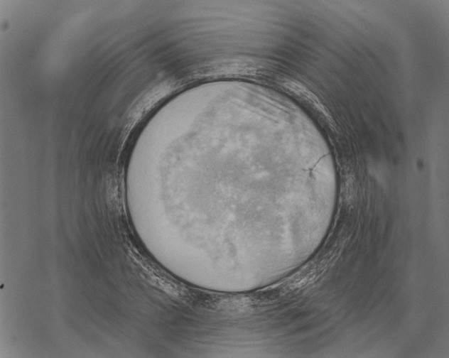 X0000068830882200605261613