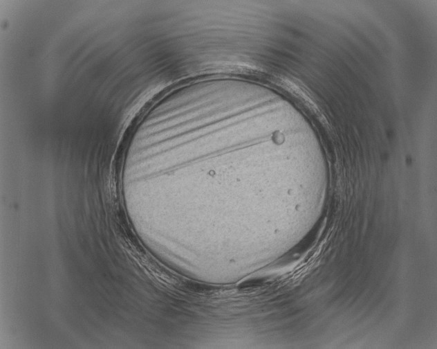 X0000068830883200605261613