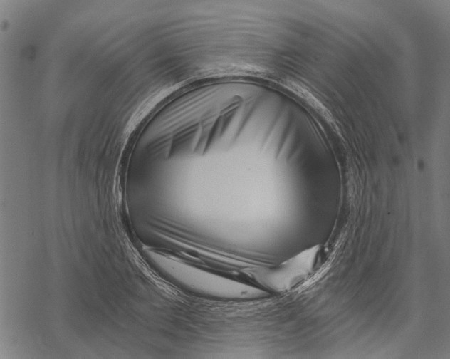 X0000068830885200605261613