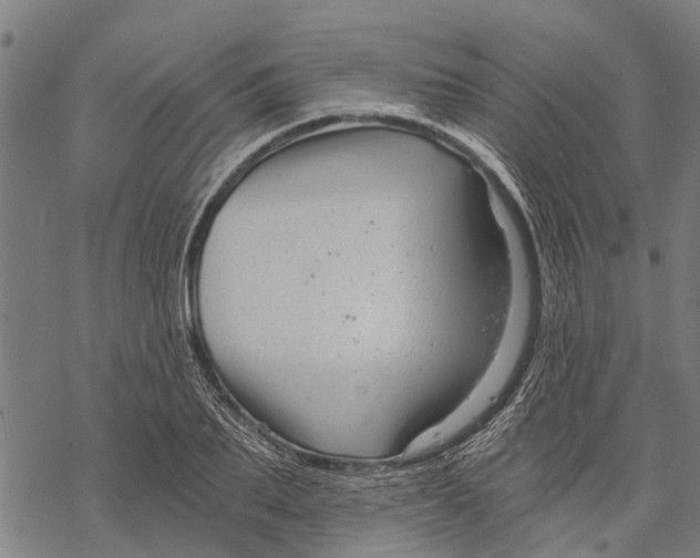 X0000068830887200605261613