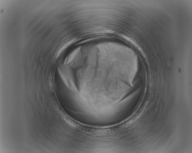 X0000068830889200605261613