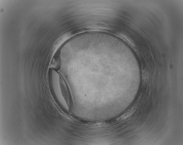 X0000068830891200605261613