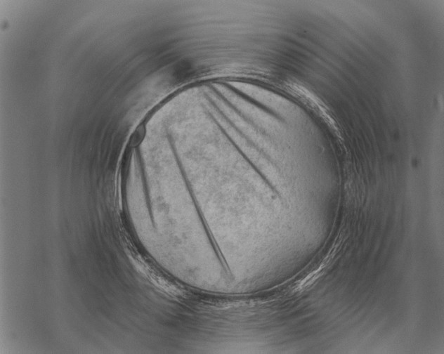 X0000068830892200605261612