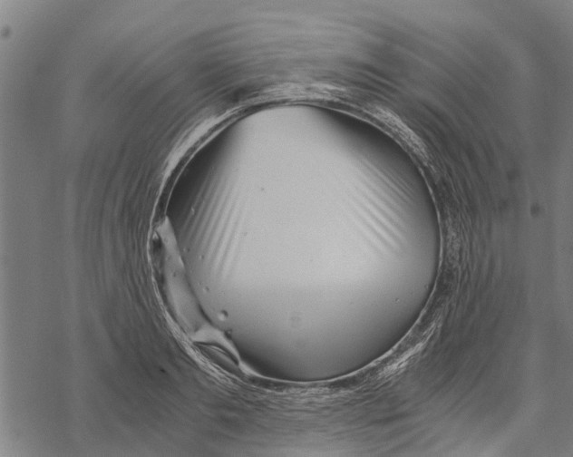 X0000068830893200605261612